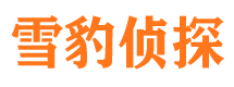 椒江市调查取证